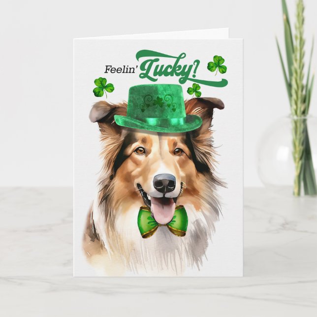 Collie Dog Feelin' Lucky St Patrick's Day Holiday Card (Front)