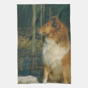 Collie Dog Kitchen Towel