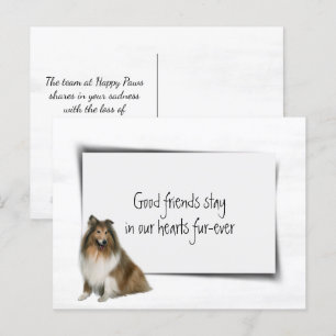 Collie Dog Pet Sympathy Loss Postcard
