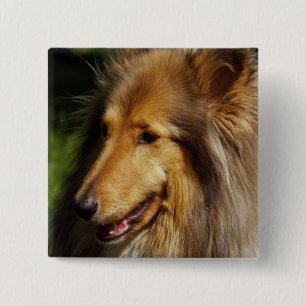 Collie Dog Photograph 15 Cm Square Badge