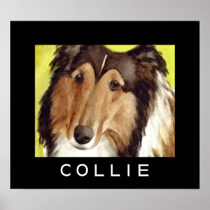 Collie Dog Posters