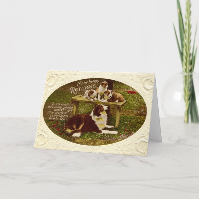 Collie Dog & Pups  Happy Birthday vintage 1910 Card (Front)