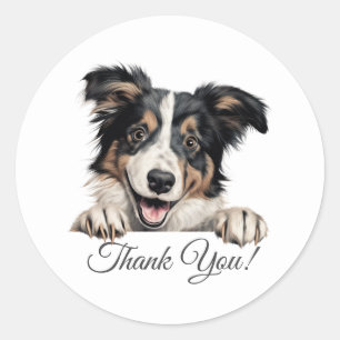 Collie Dog Thank You Classic Round Sticker