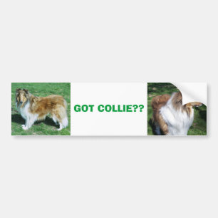 COLLIE, GOT COLLIE?? BUMPER STICKER