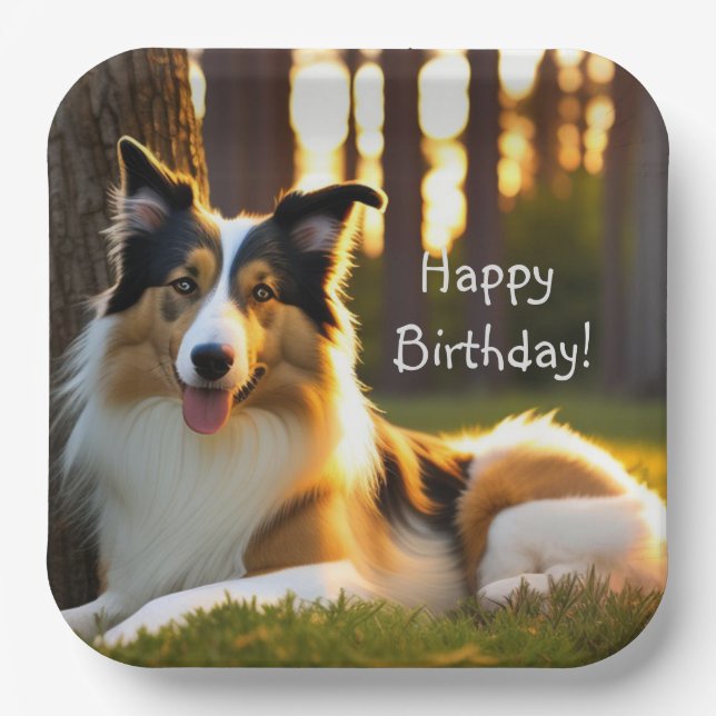 Collie Happy Birthday Paper Plate (Front)