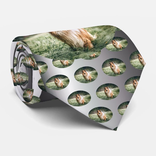 Collie in the Rough Grassland Tie (Rolled)