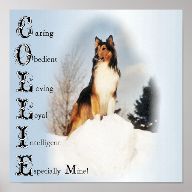 Collie Is... Rough Collie Art Poster (Front)