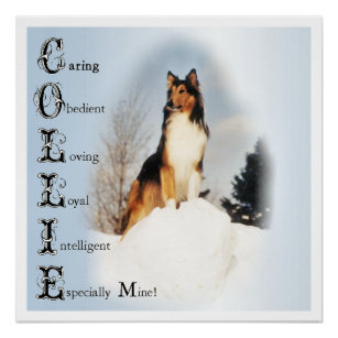 Collie Is... Rough Collie Art Poster