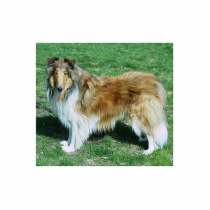 Collie Keychain -photosculptured Photo Sculpture Key Ring