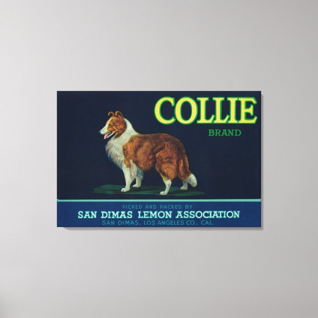 Collie Lemon LabelSan Dimas, CA Canvas Print (Front)