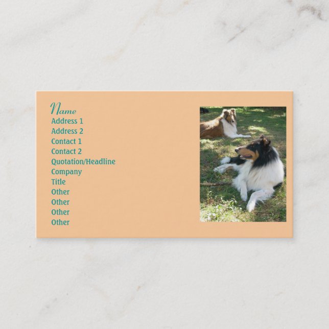 Collie Lovers Business Cards 2 (Front)