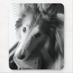 Collie Mouse Mat