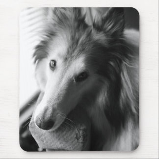Collie Mouse Mat