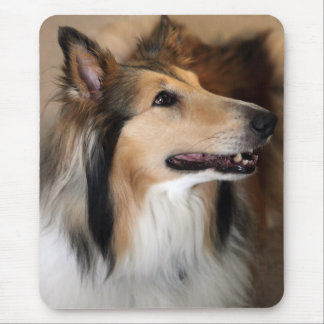 Collie Mouse Mat
