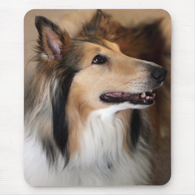 Collie Mouse Mat (Front)