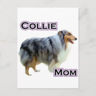 Collie Mum 4 Postcard