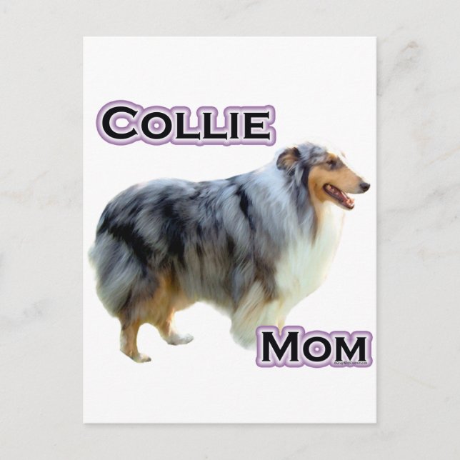 Collie Mum 4 Postcard (Front)