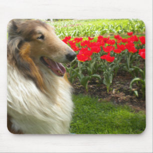 Collie n the Tulips Mouse Pad