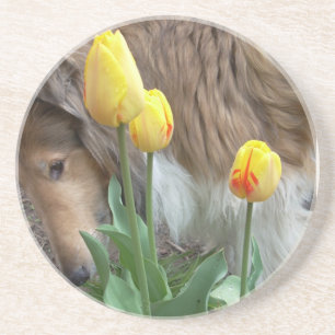 Collie n Tulips coasters