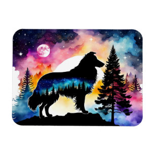 Collie on mountain top on colourful forest magnet