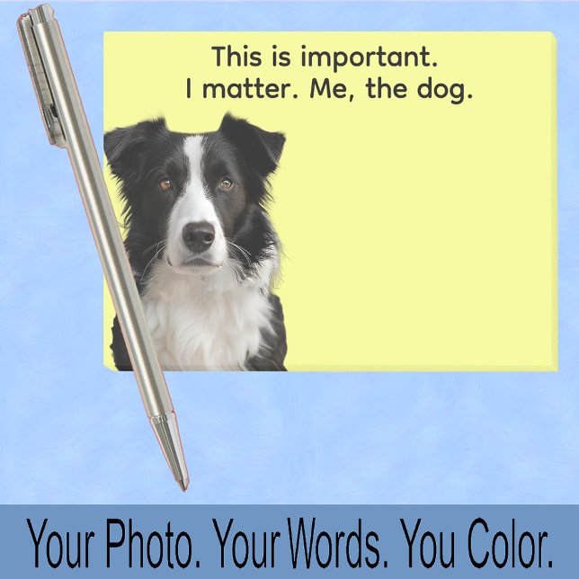 Collie or Your Dog Photo—Stocking Stuffer Cute Post-it Notes (Creator Uploaded)