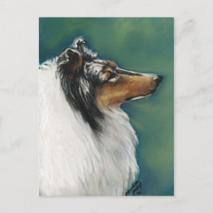 "Collie" Original Dog Art Postcard