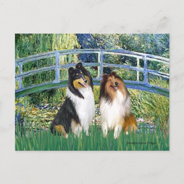 Collie Pair 1 - Bridge Postcard (Front)