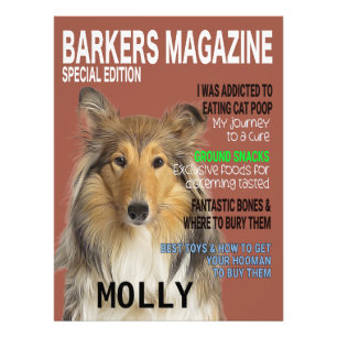 Collie Parody Magazine Cover Photo Print