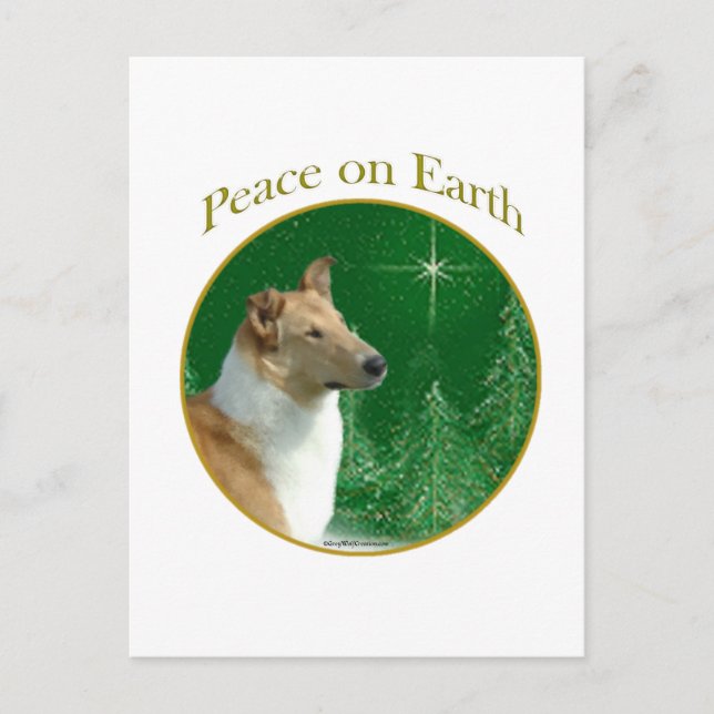 Collie Peace on Earth Postcard (Front)