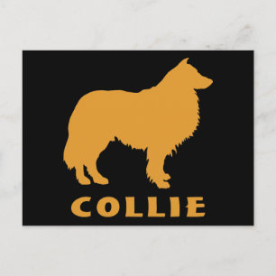 Collie Postcard