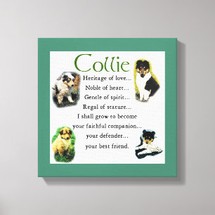 Collie Puppy Heritage of Love Canvas Print