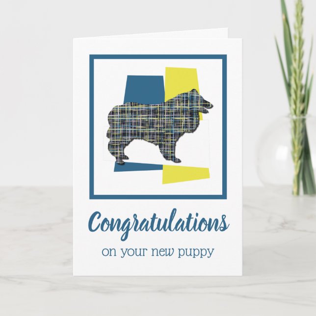 Collie Rough New Puppy Congratulations Greeting Card (Front)