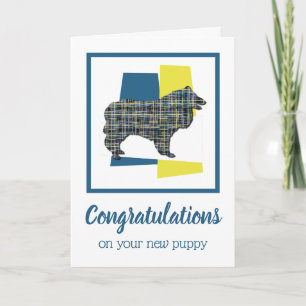 Collie Rough New Puppy Congratulations Greeting Card