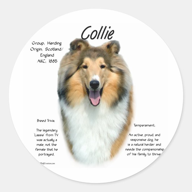 Collie (sable rough) History Design Classic Round Sticker (Front)