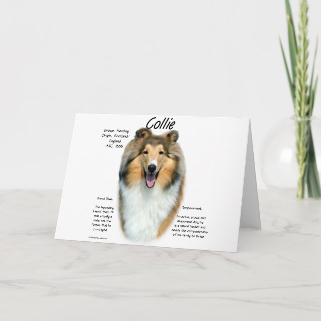 Collie (sable rough) History Design Holiday Card (Front)