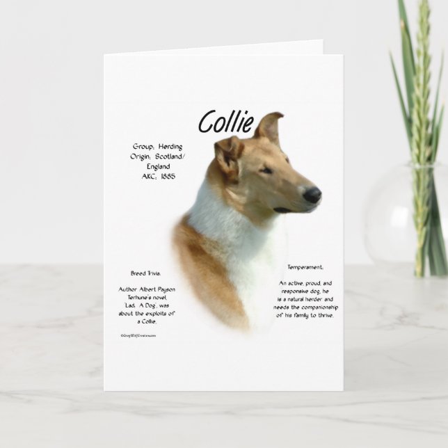 Collie (sable smooth) History Design Holiday Card (Front)