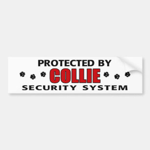 Collie Security Bumper Sticker