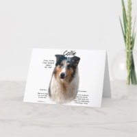 Collie (smooth merle) History Design