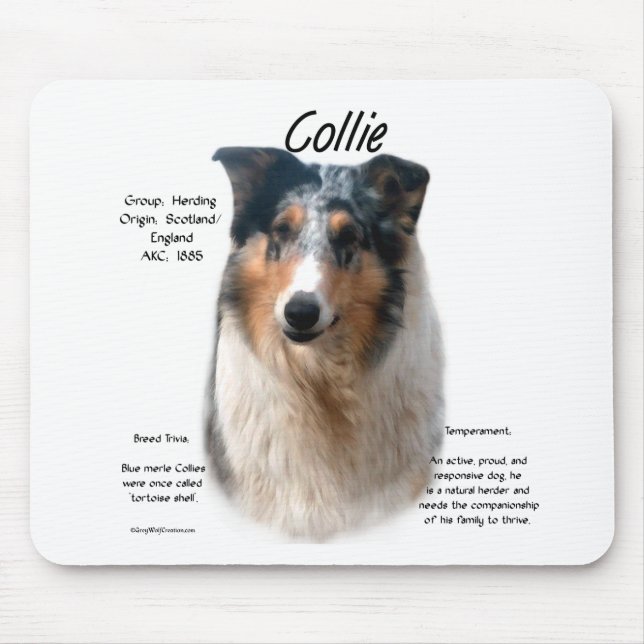 Collie (smooth merle) History Design Mouse Mat (Front)