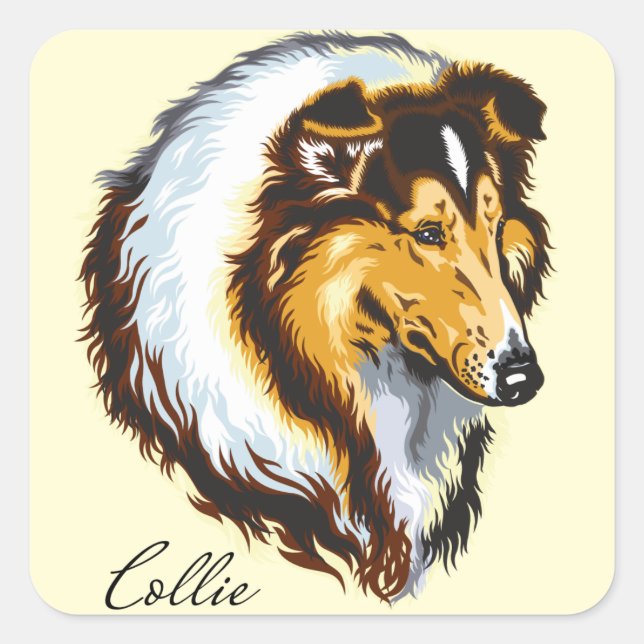 collie square sticker (Front)