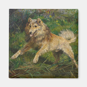 Collie Takes on a Frog by Hermine Biedermann Magnet