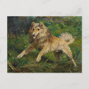 Collie Takes on a Frog by Hermine Biedermann Postcard