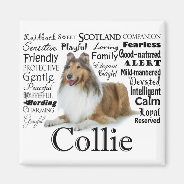 Collie Traits Magnet (Front)