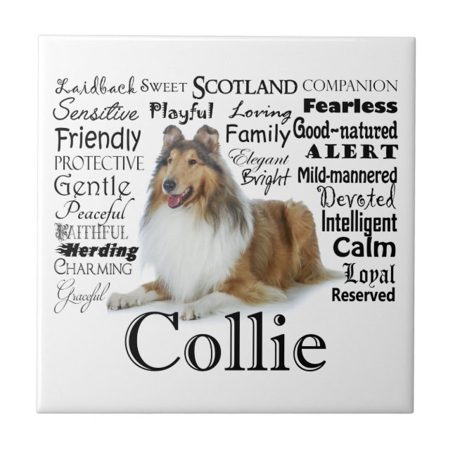 Collie Traits Tile (Front)