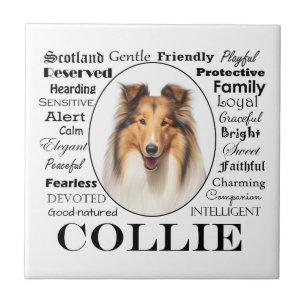 Collie Traits Tile