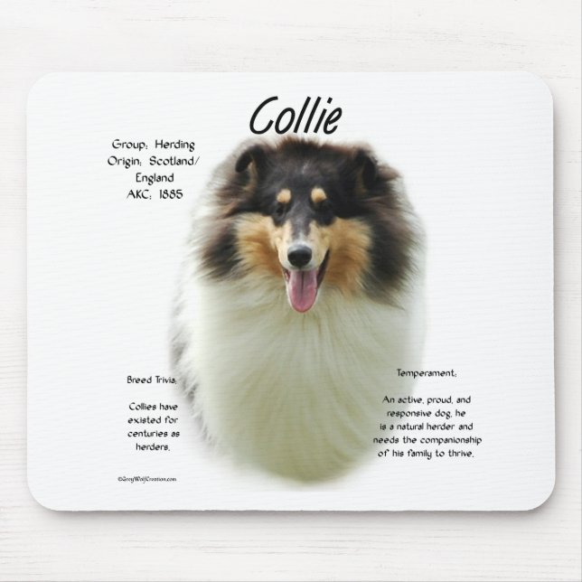 Collie (tri rough) History Design Mouse Mat (Front)