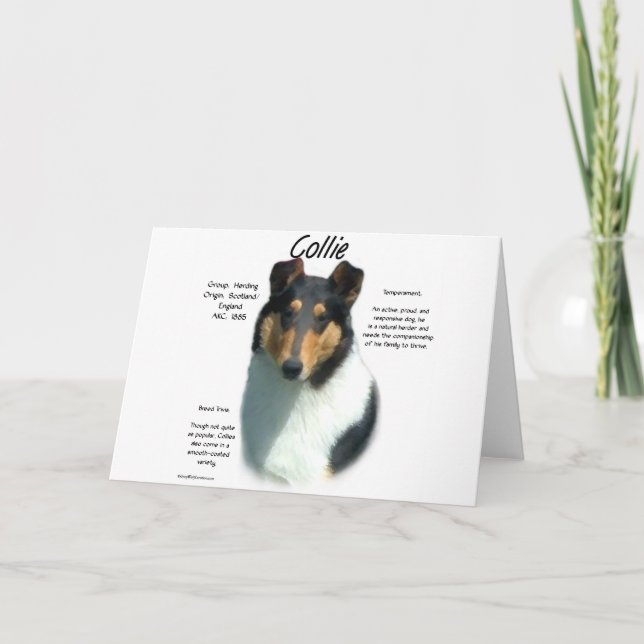 Collie (tri smooth) History Design Holiday Card (Front)