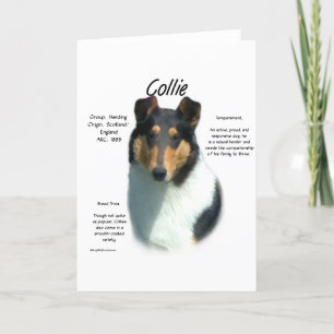 Collie (tri smooth) History Design Holiday Card