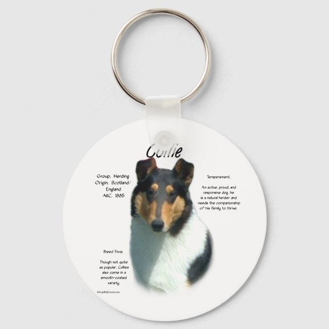 Collie (tri smooth) History Design Key Ring (Front)