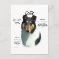Collie (tri smooth) History Design